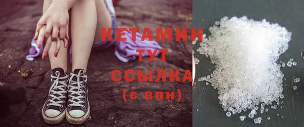 прущие грибы Волоколамск