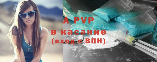 стаф Вязники