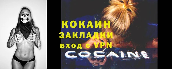 стафф Вяземский