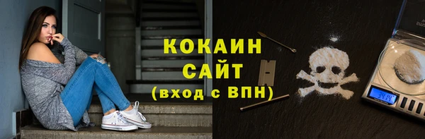 прущие грибы Волоколамск