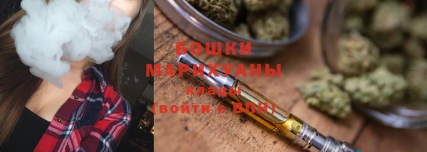 прущие грибы Волоколамск