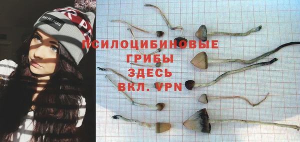 дурь Володарск