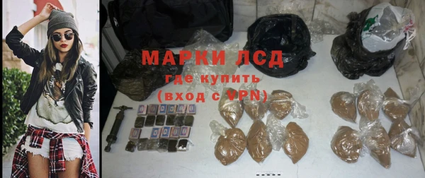 прущие грибы Волоколамск